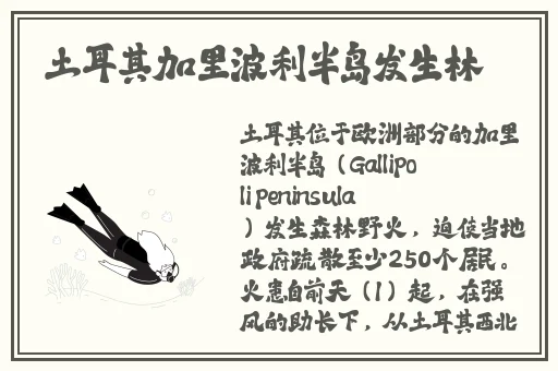 小蓝彩虹男最新更新内容